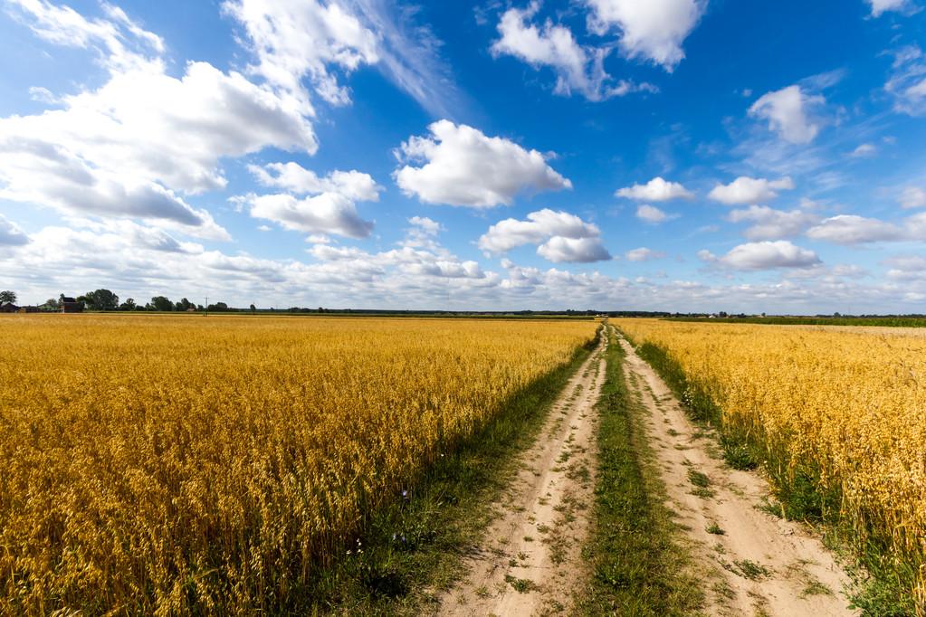 贸易数据库  综合版